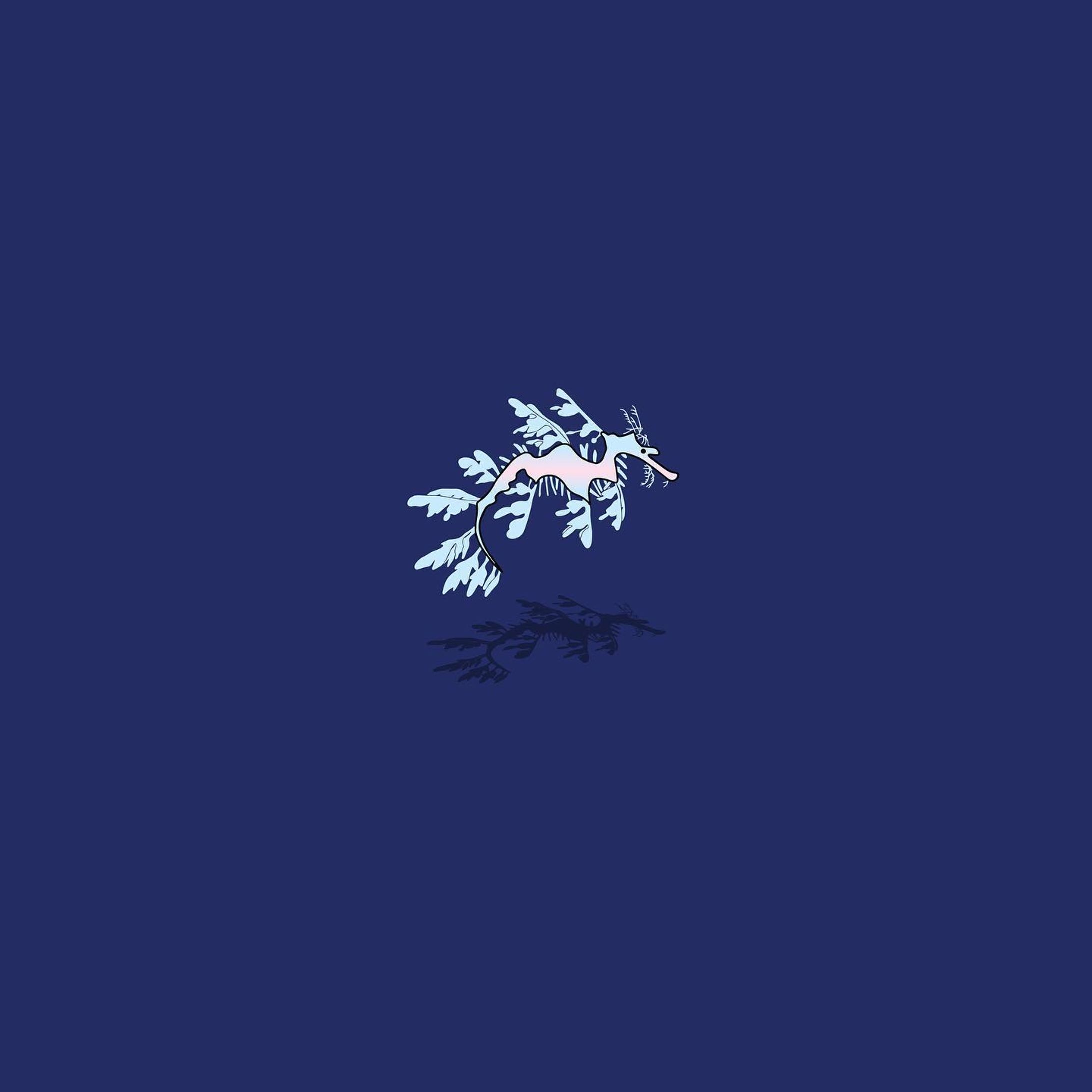 リーフィーシードラゴン-1