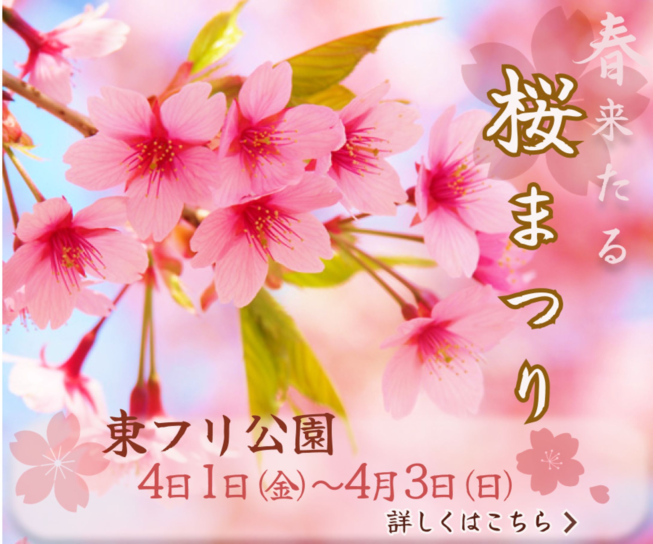 春さくらまつりPOP-1
