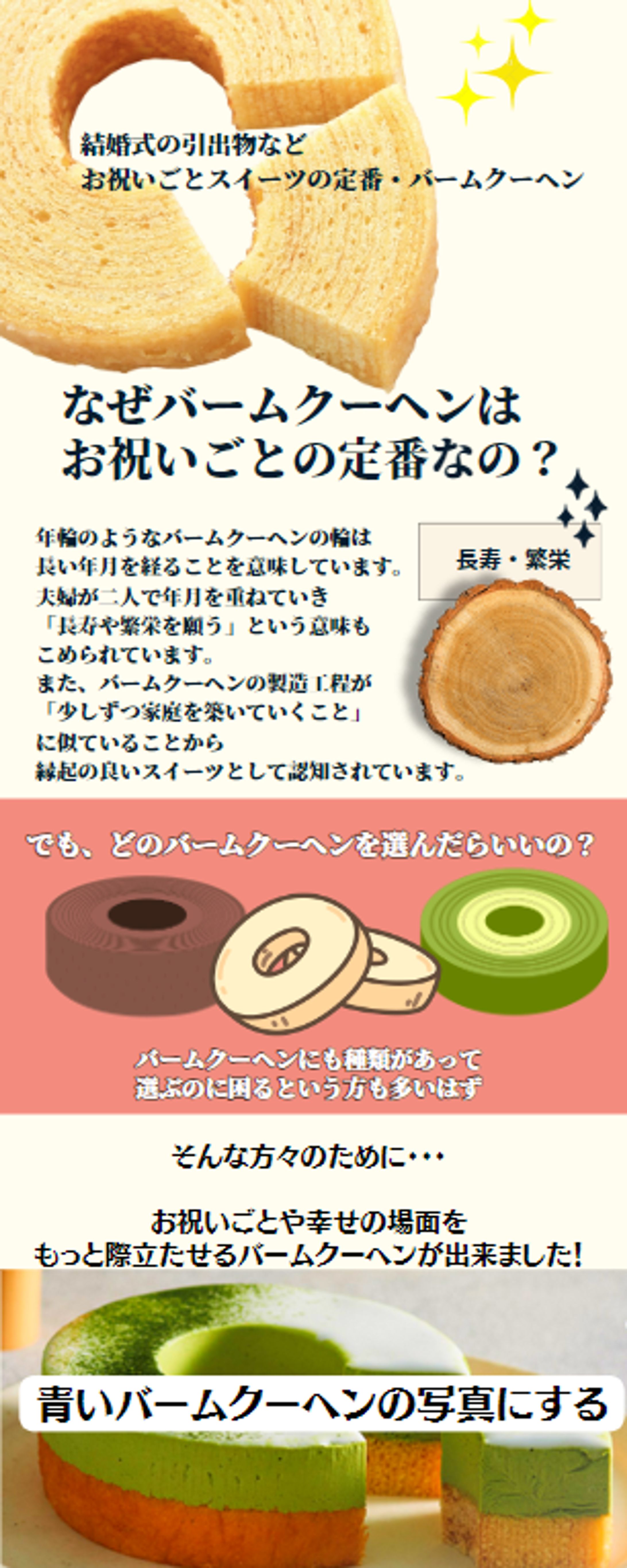 商品説明インフォグラフィックス-1