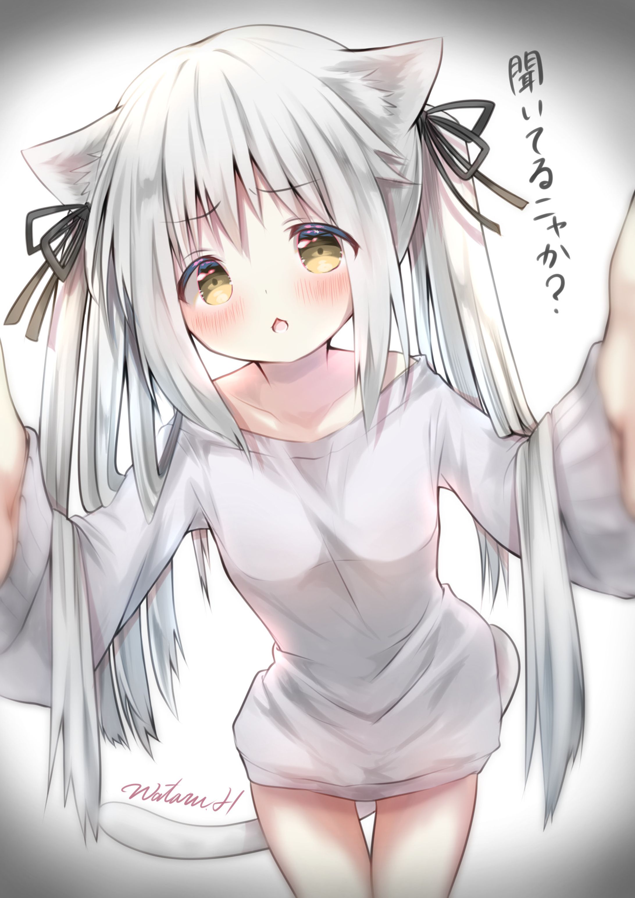 オリジナル白い猫-1