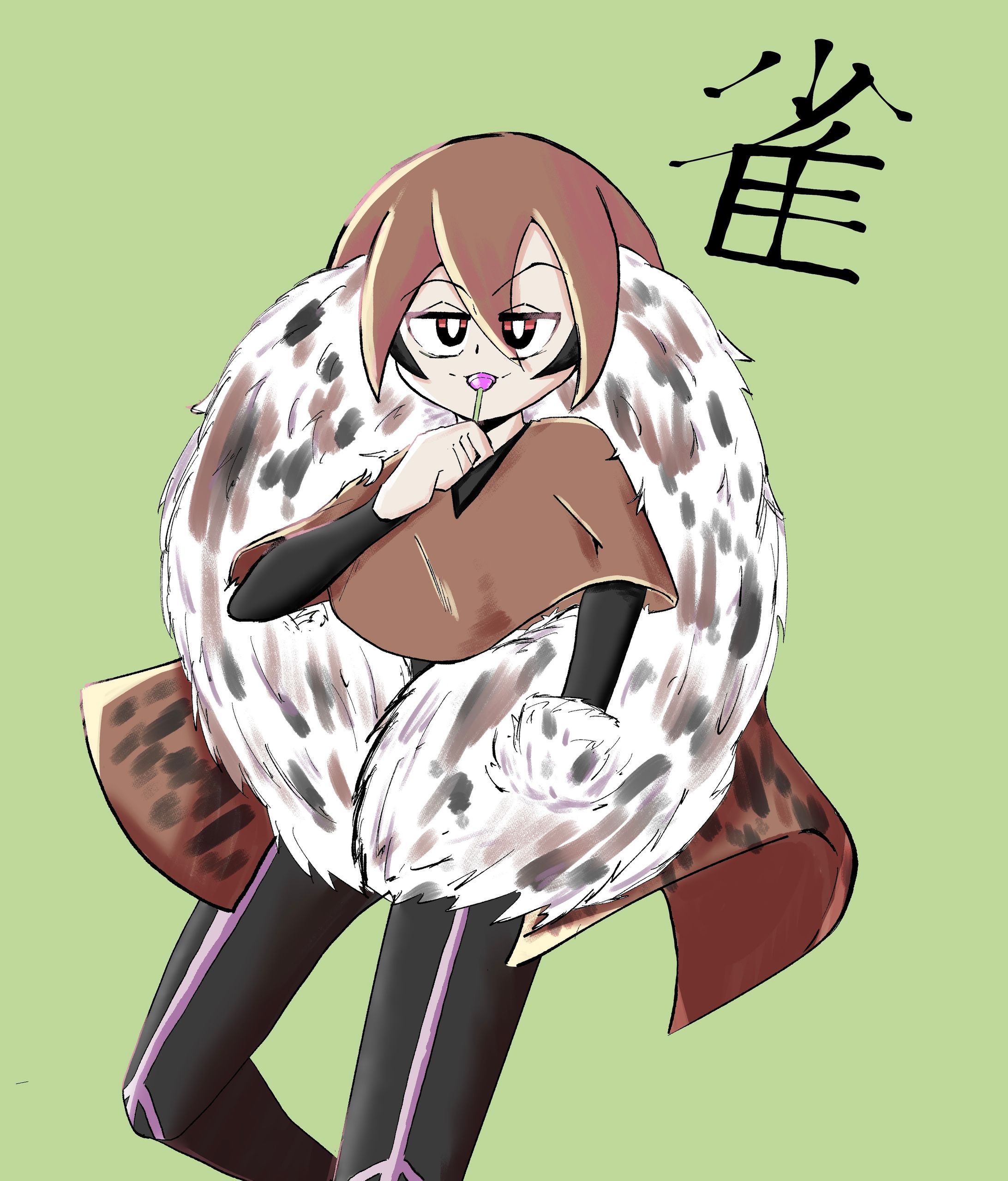 colour illustrations-1