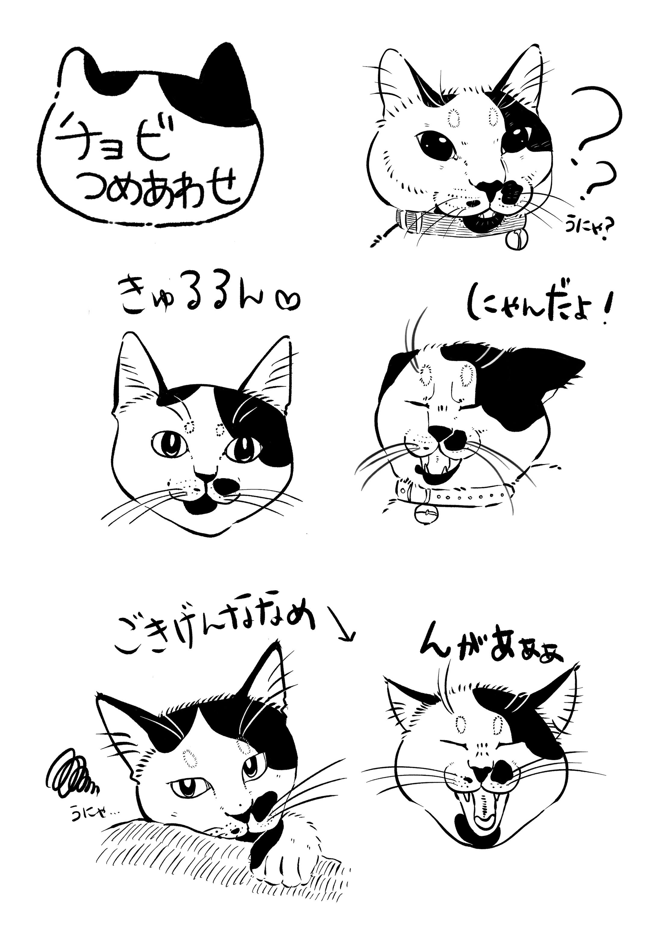 チョビ詰め合わせ-1