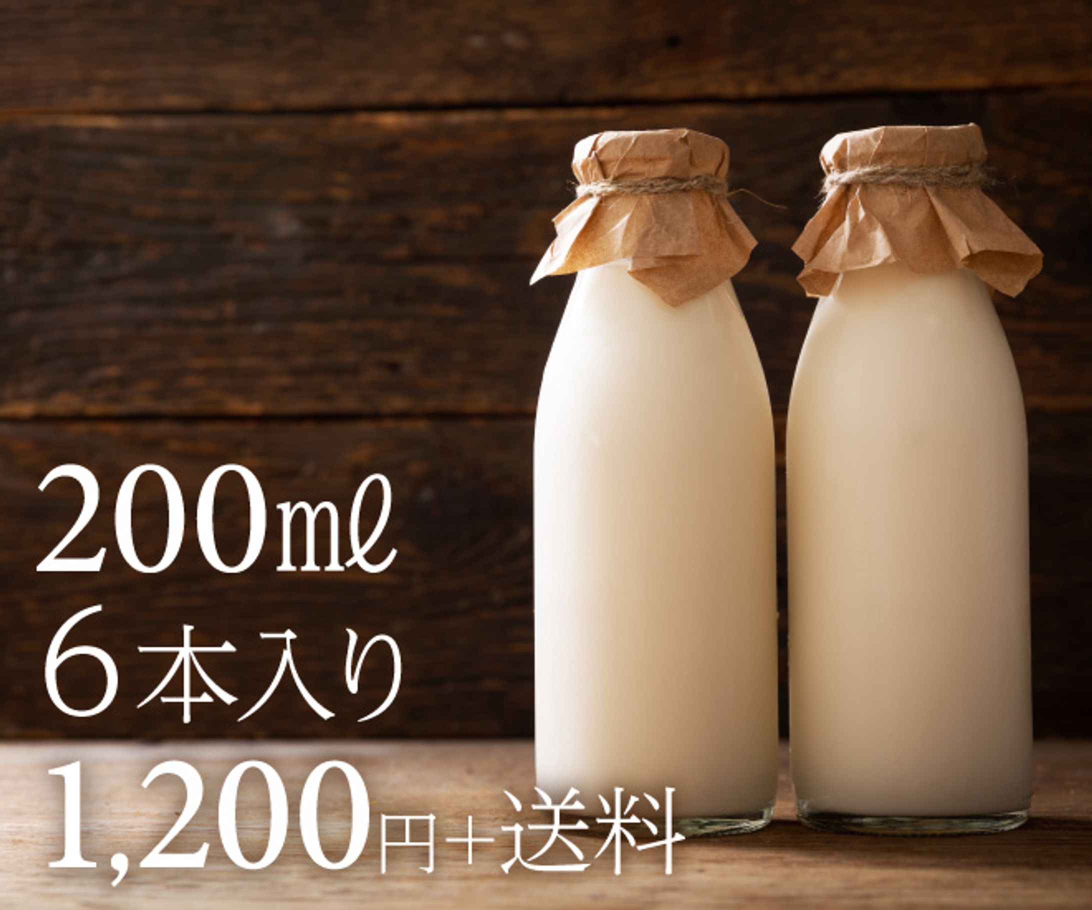商品画像　サンプル-1