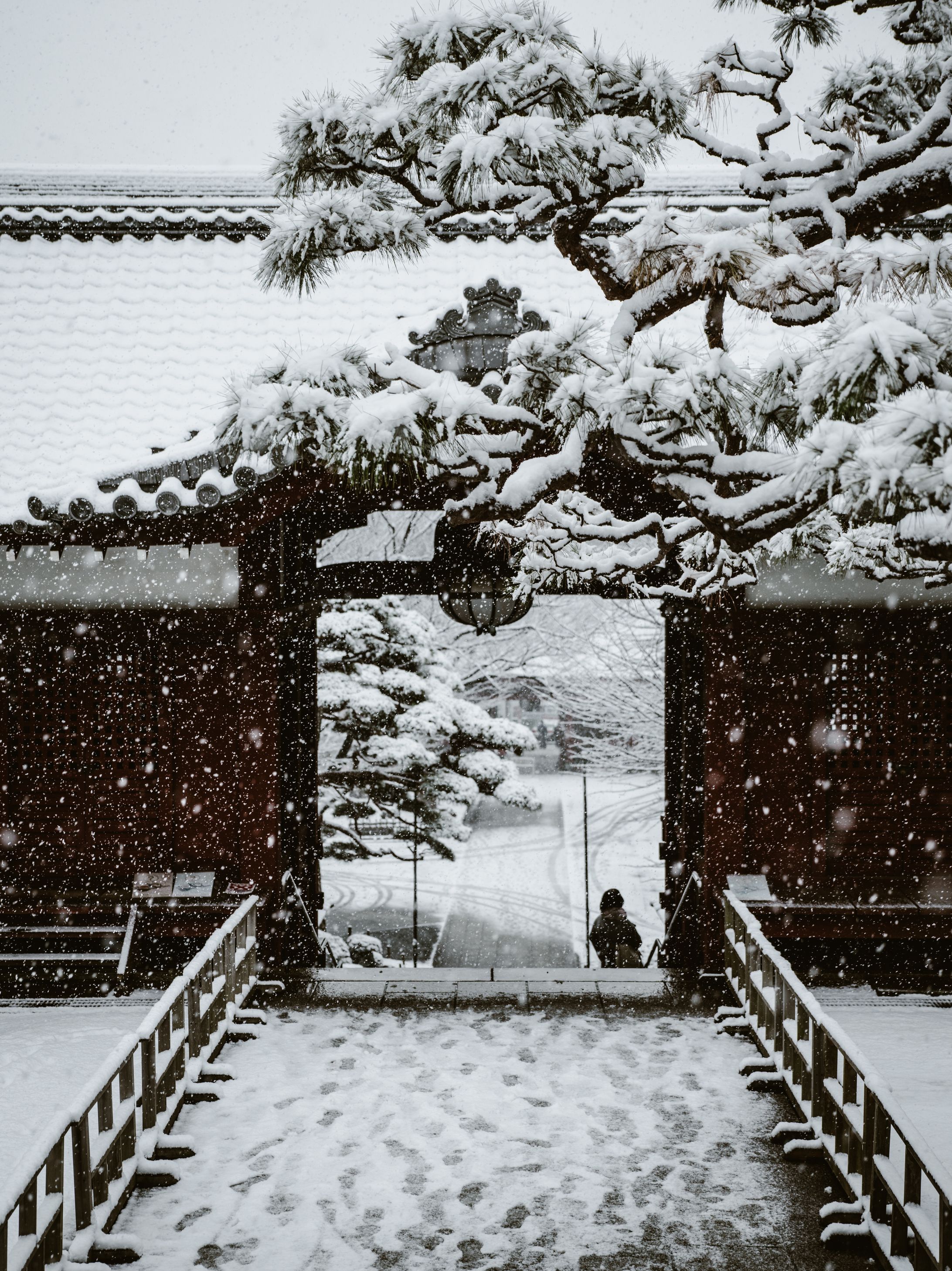 護国寺-1