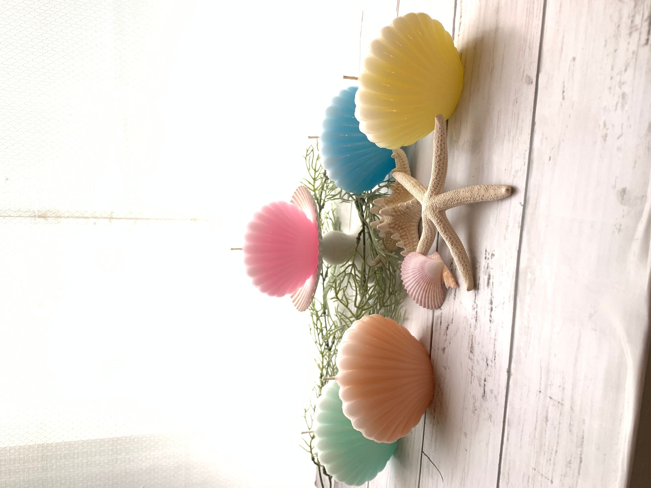 シェルキャンドル-1