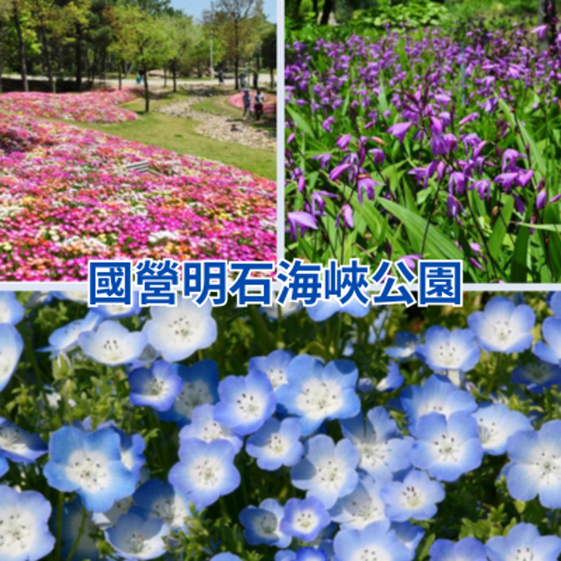 綠之日去哪玩-1