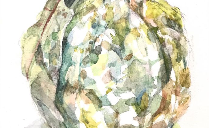 マルメロ。そろそろ冬が終わります。 #マルメロ #illustration #artwork #水彩画