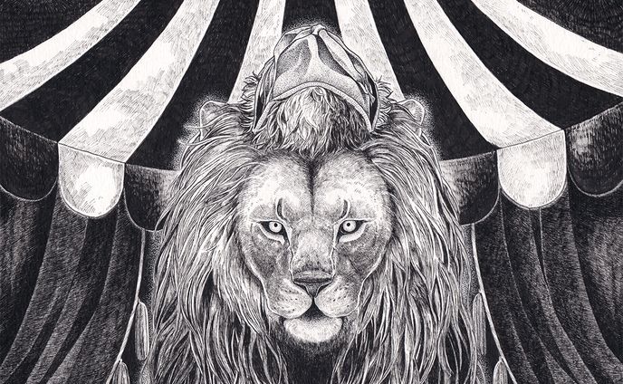 The Night Lions