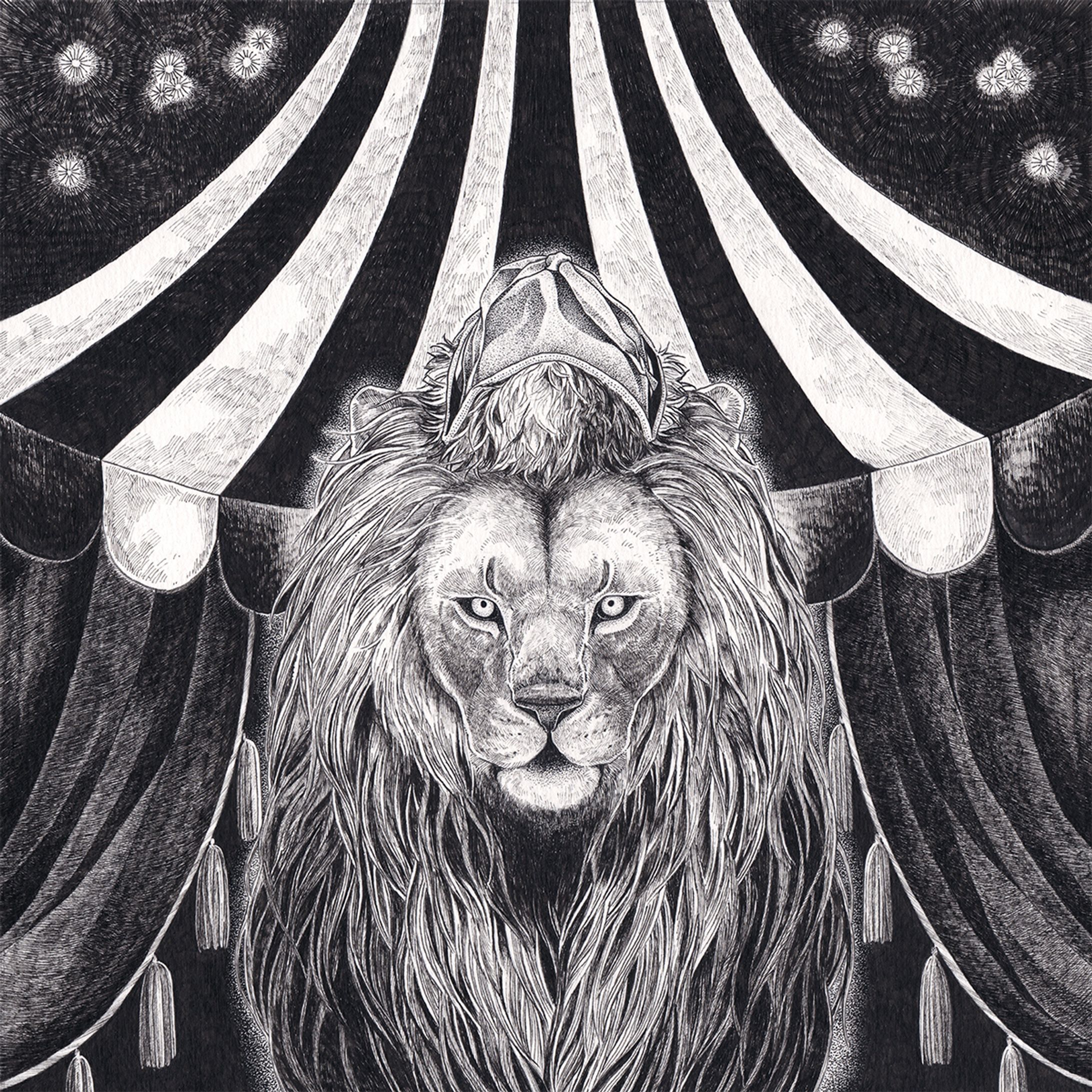 The Night Lions-1