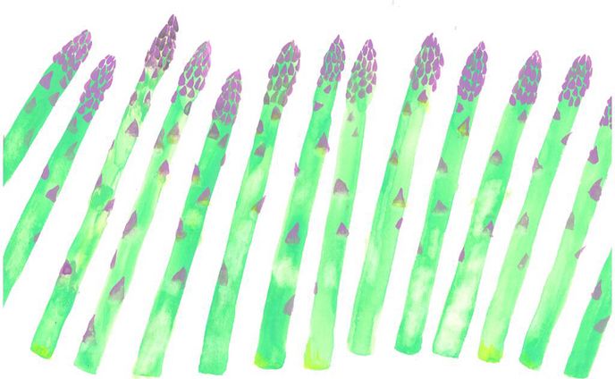 イラストレータ、文房具
