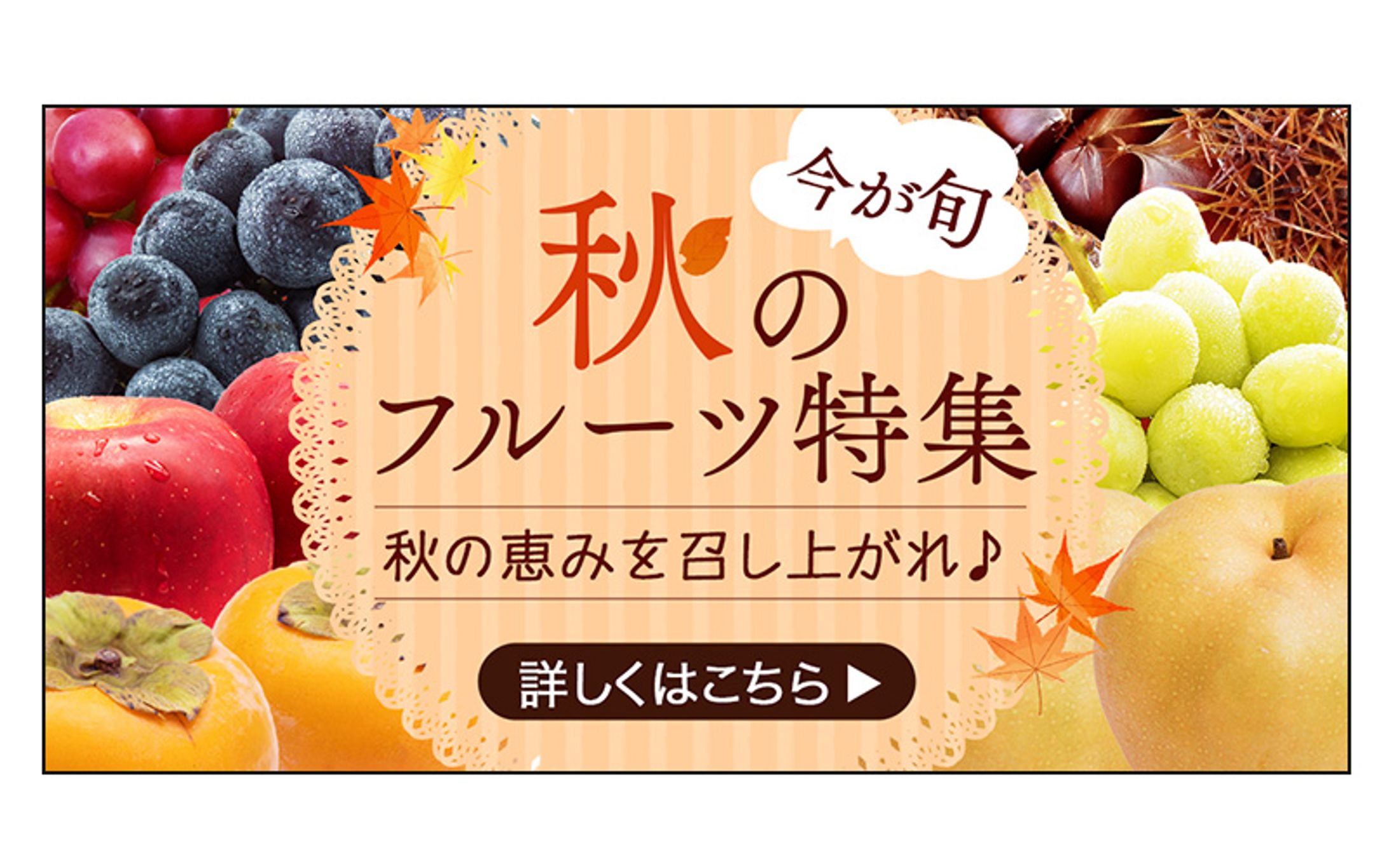 バナー：秋のフルーツ特集-1