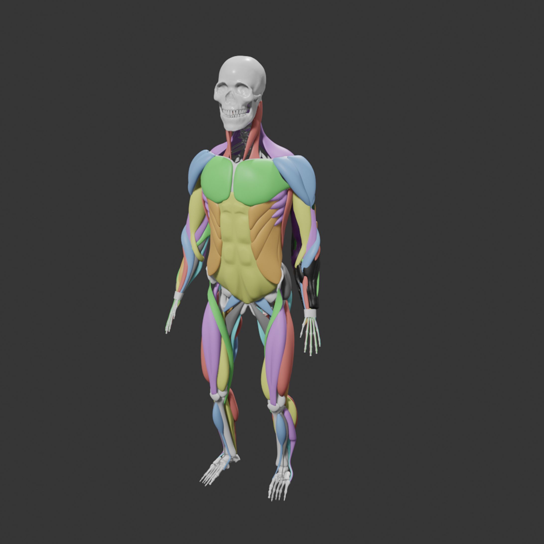 body-1