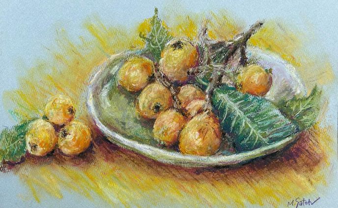 「枇杷」
オイルパステル　Museパステル紙　F4

#静物画 #枇杷 #びわ #果実の絵 #オイルパステル #stilllife #loquat #fruit  #oilpastel #biwa