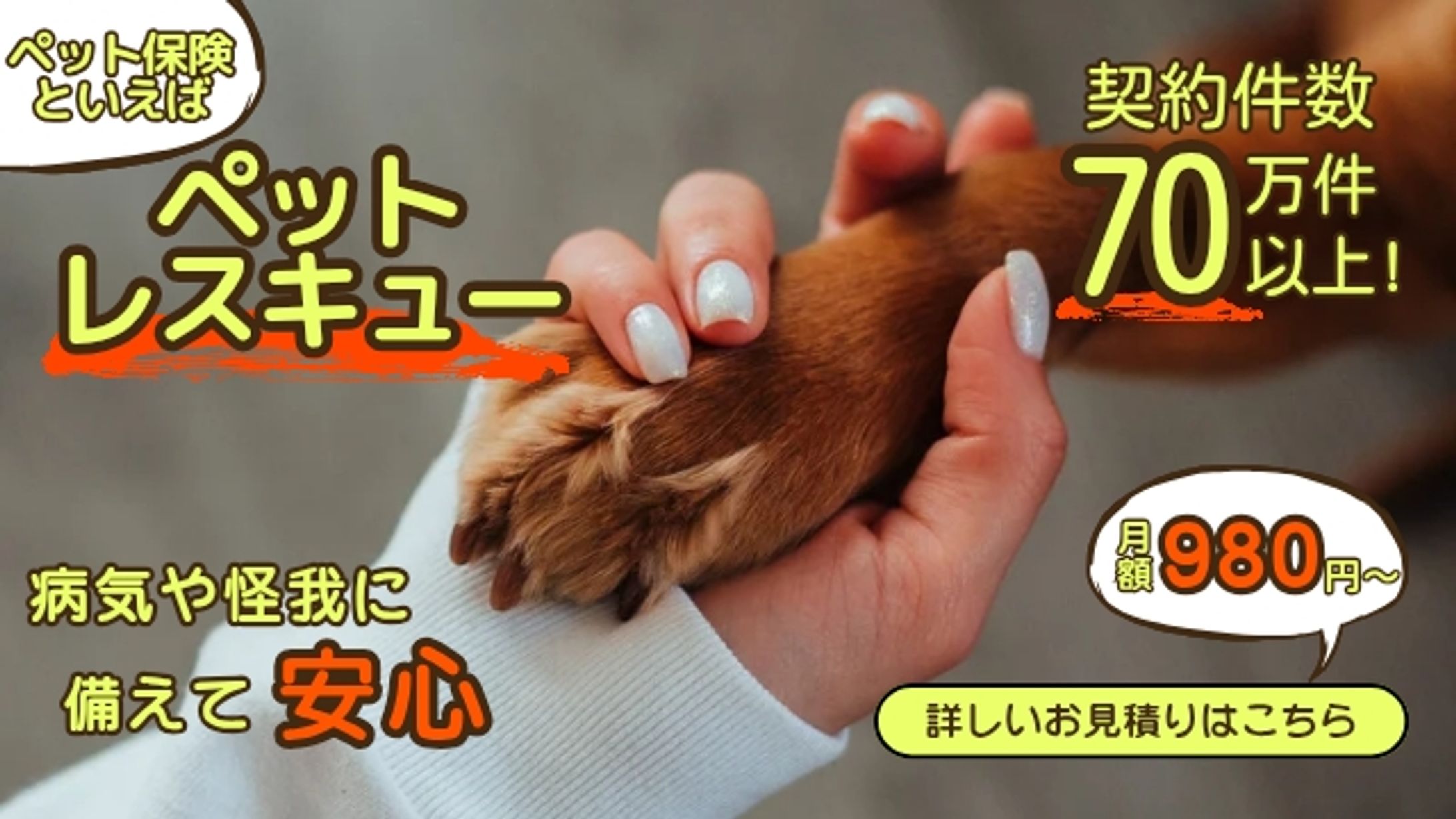 ペット保険広告バナー-1