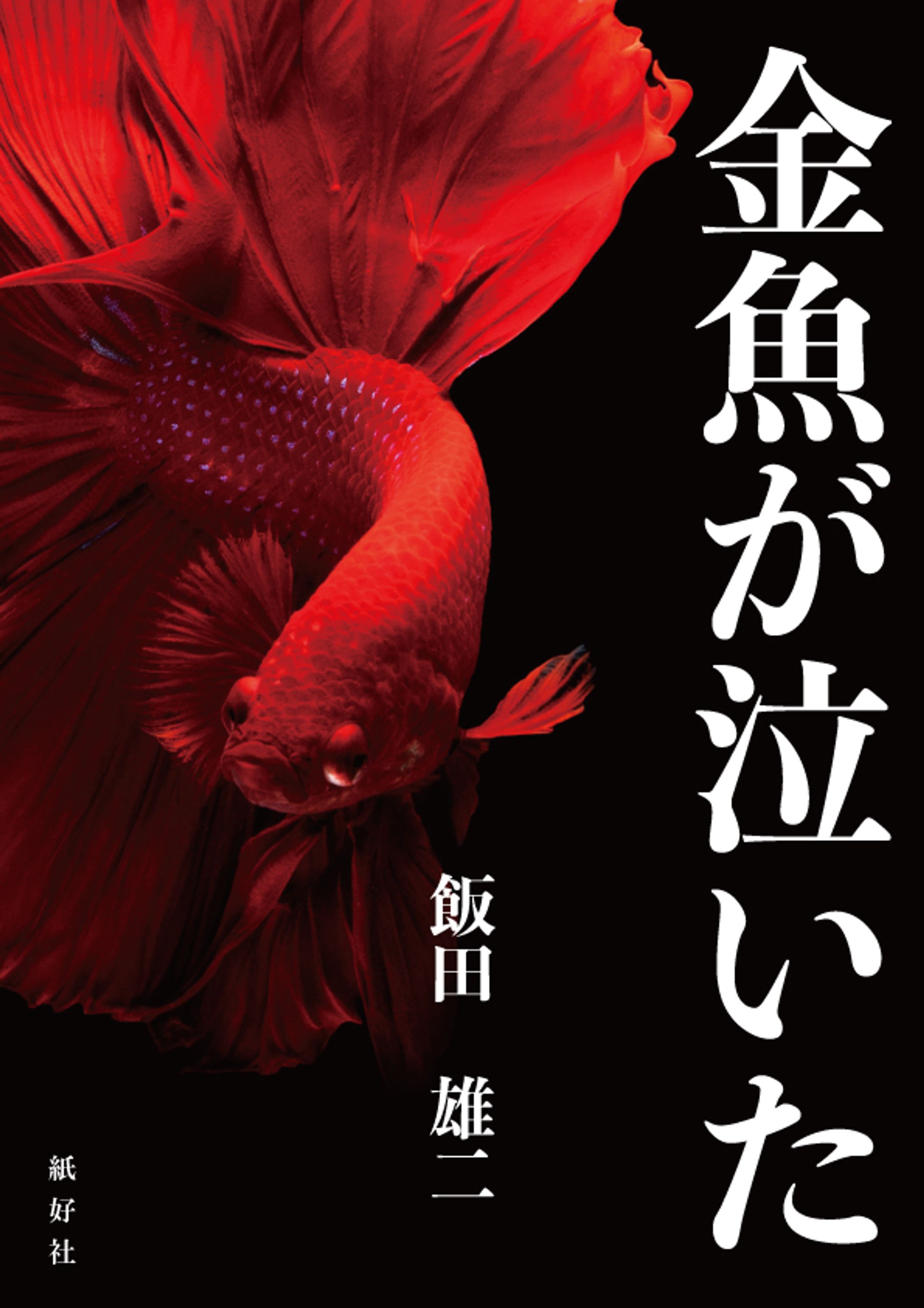 装丁デザイン-1