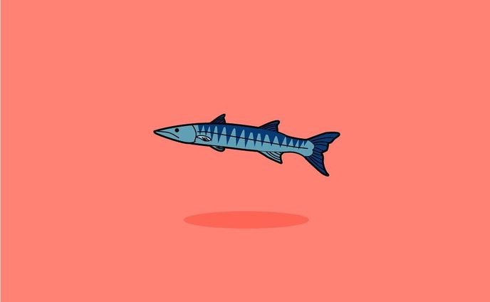 絵、海の生き物