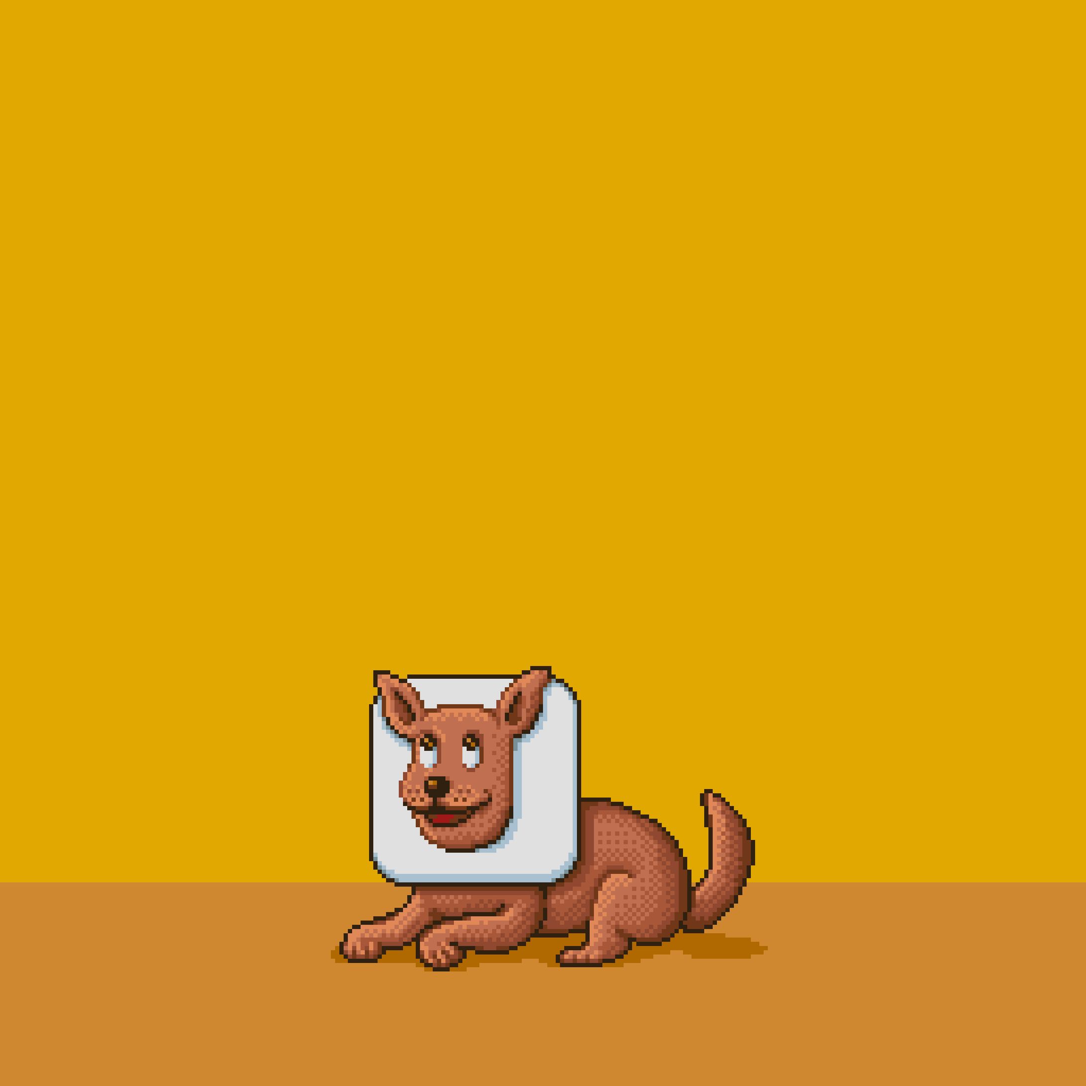Undodog-1
