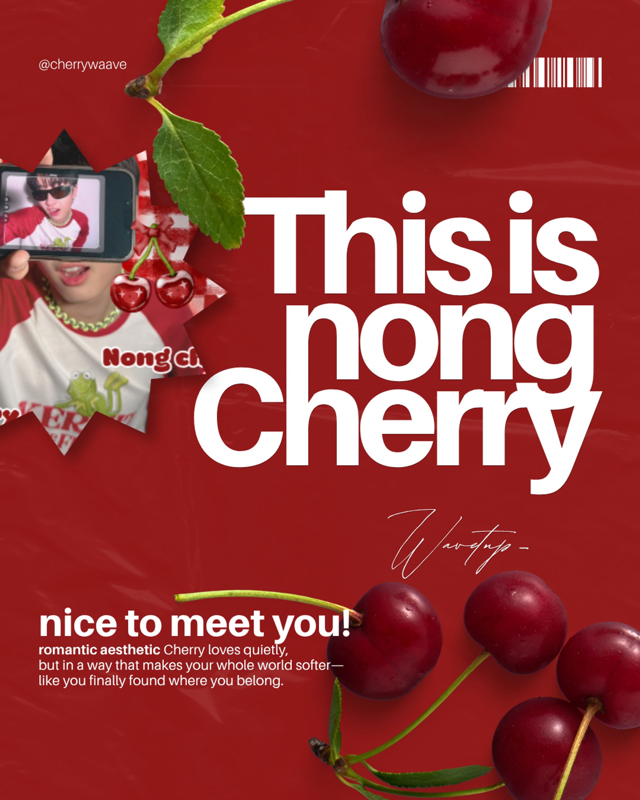 poster moodboard-1