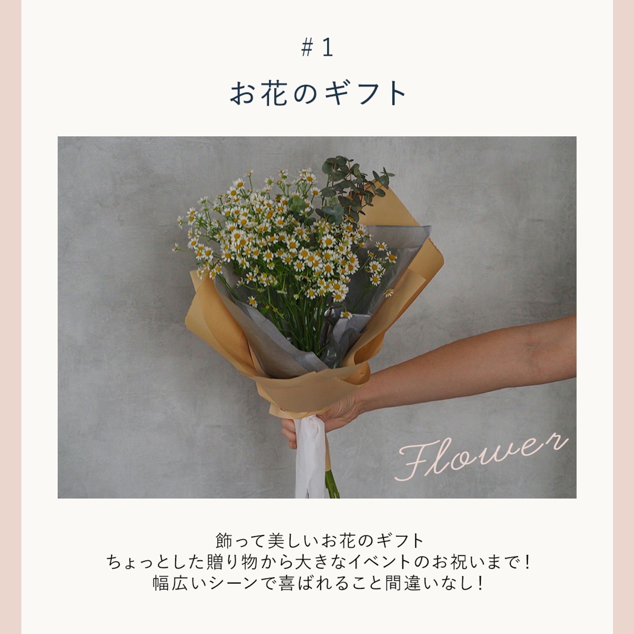 【課題】SNSクリエイティブコンペ提出作品-1