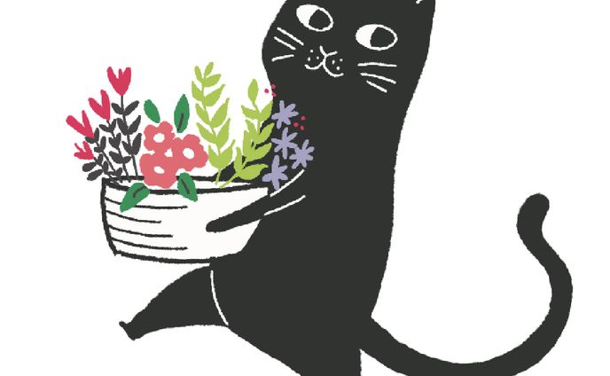 猫イラスト