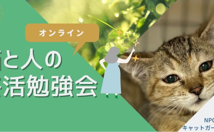 広告バナー