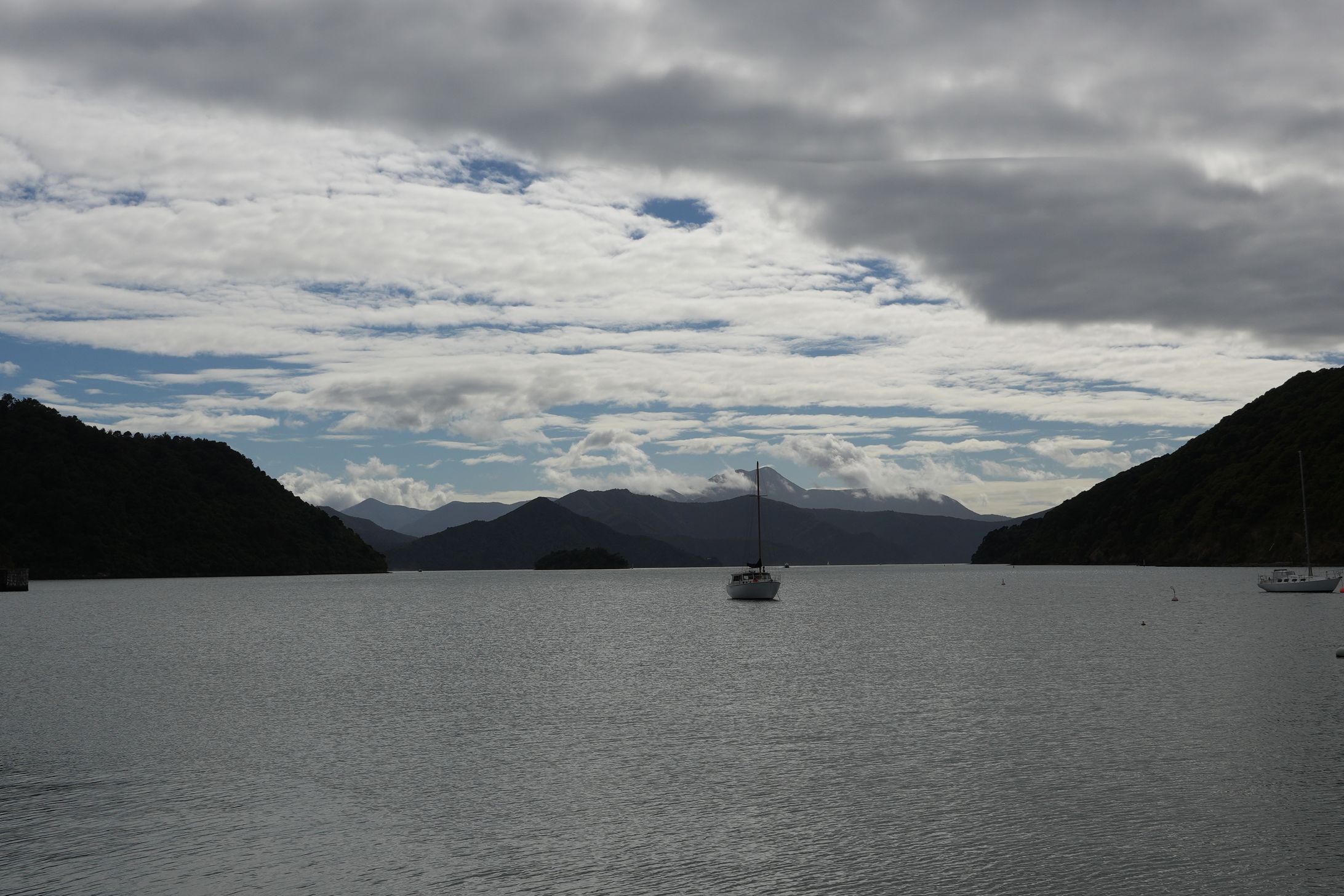 Picton in NZ | April 2024-1