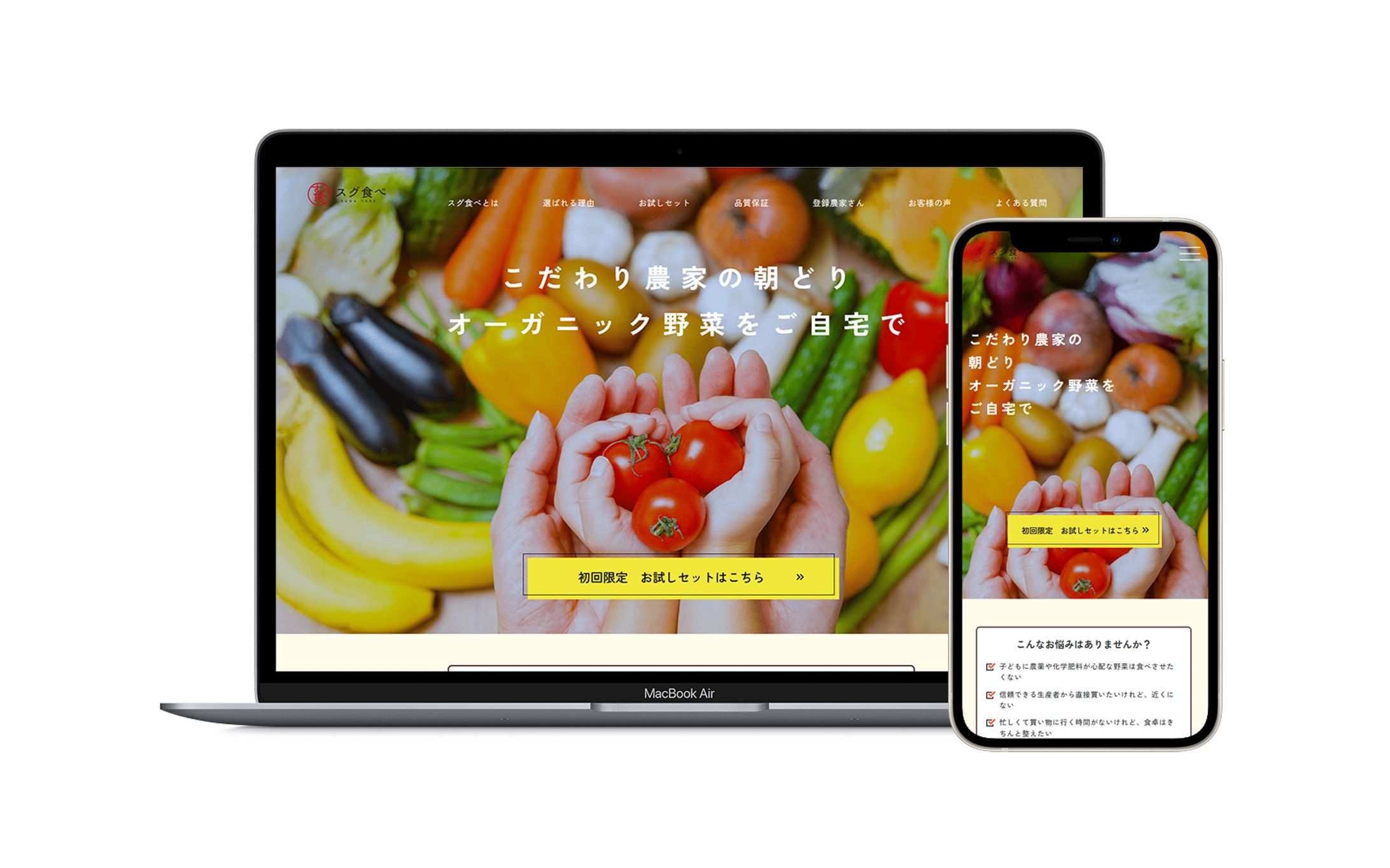 【学校課題】オーガニック野菜販売LP-1