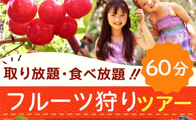 バナー：フルーツ狩りツアー