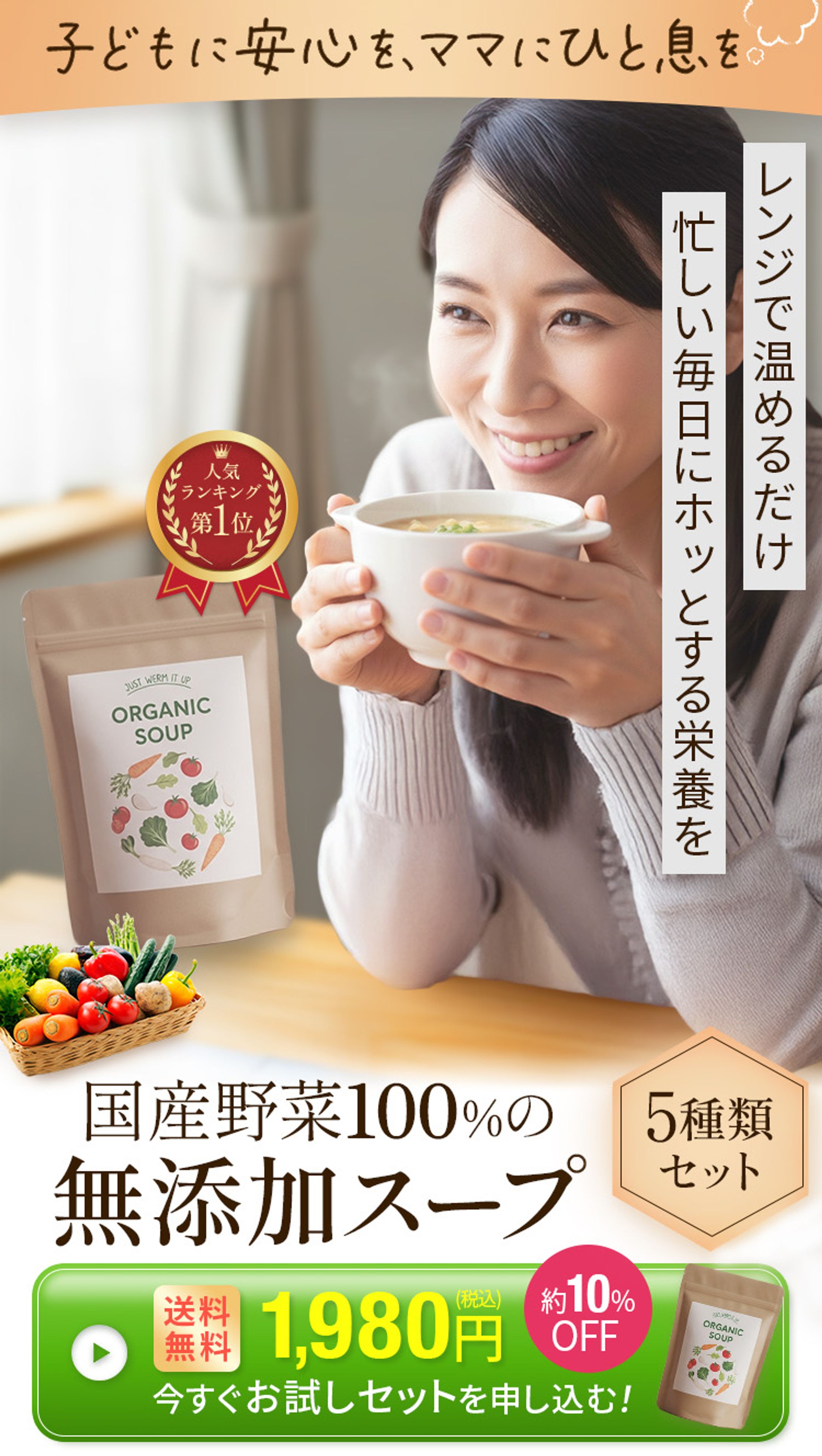 【自主製作】通販FV-1