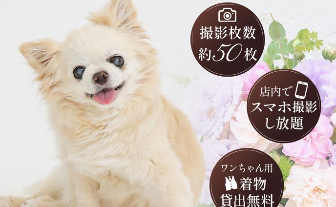 W様広告画像