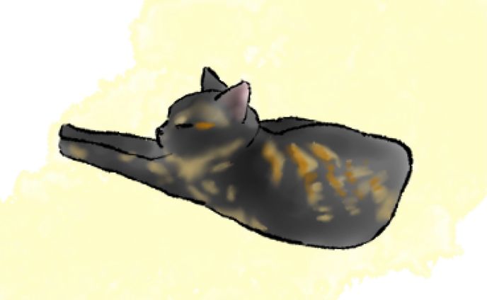 猫、のりしおスタジオ