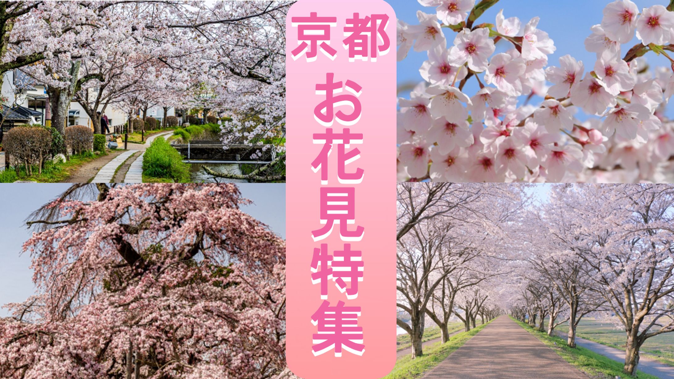 YouTube架空サムネイル-1