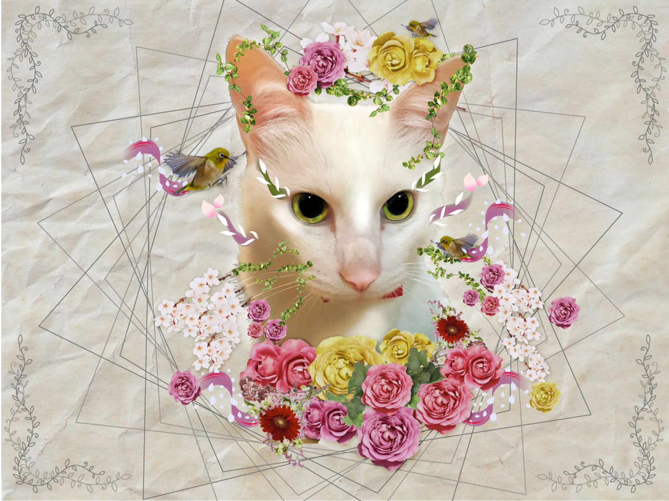 【コラージュ】白猫と花-1
