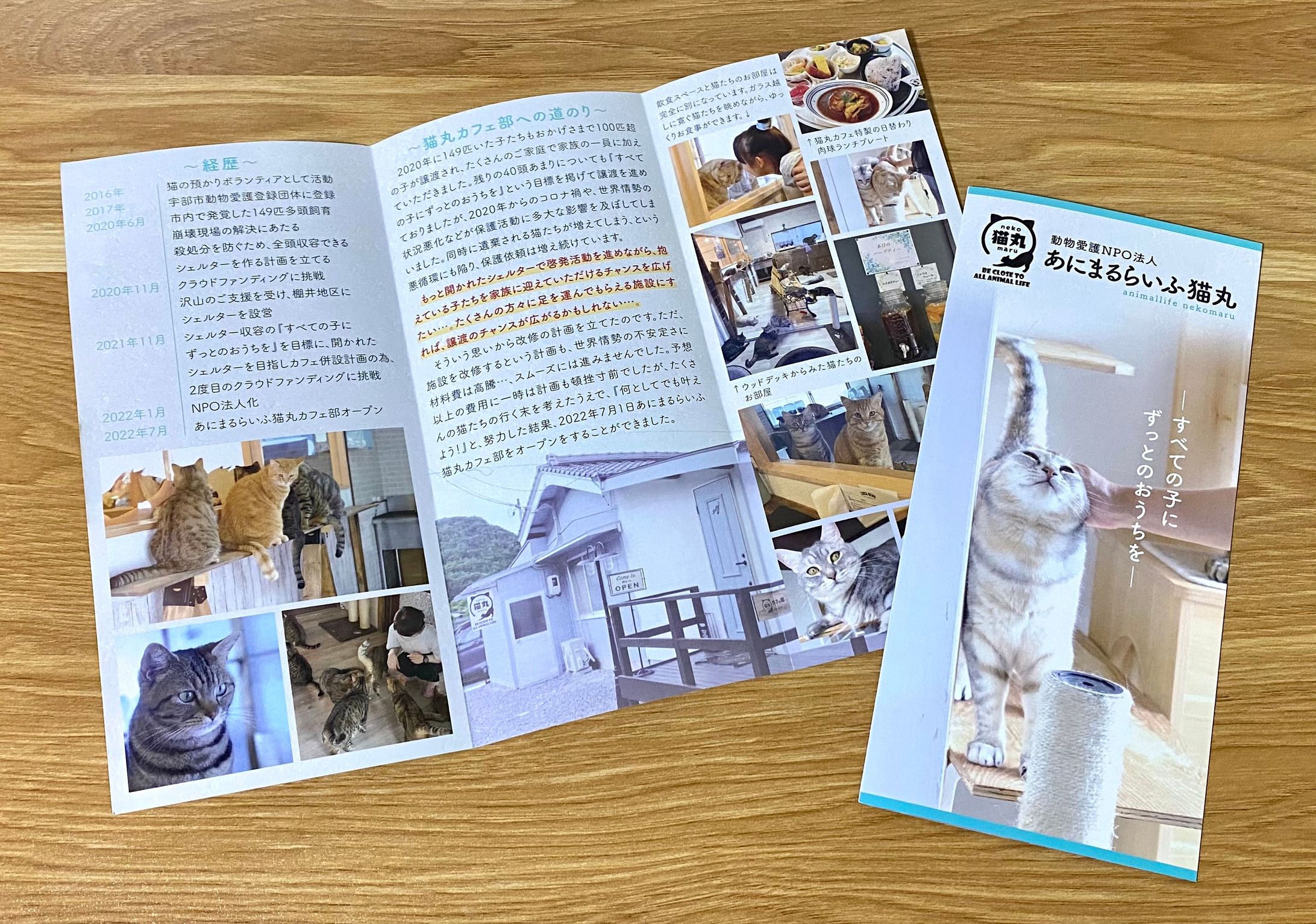 ショップ販促物-1