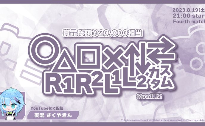 公開用画像、カスタム