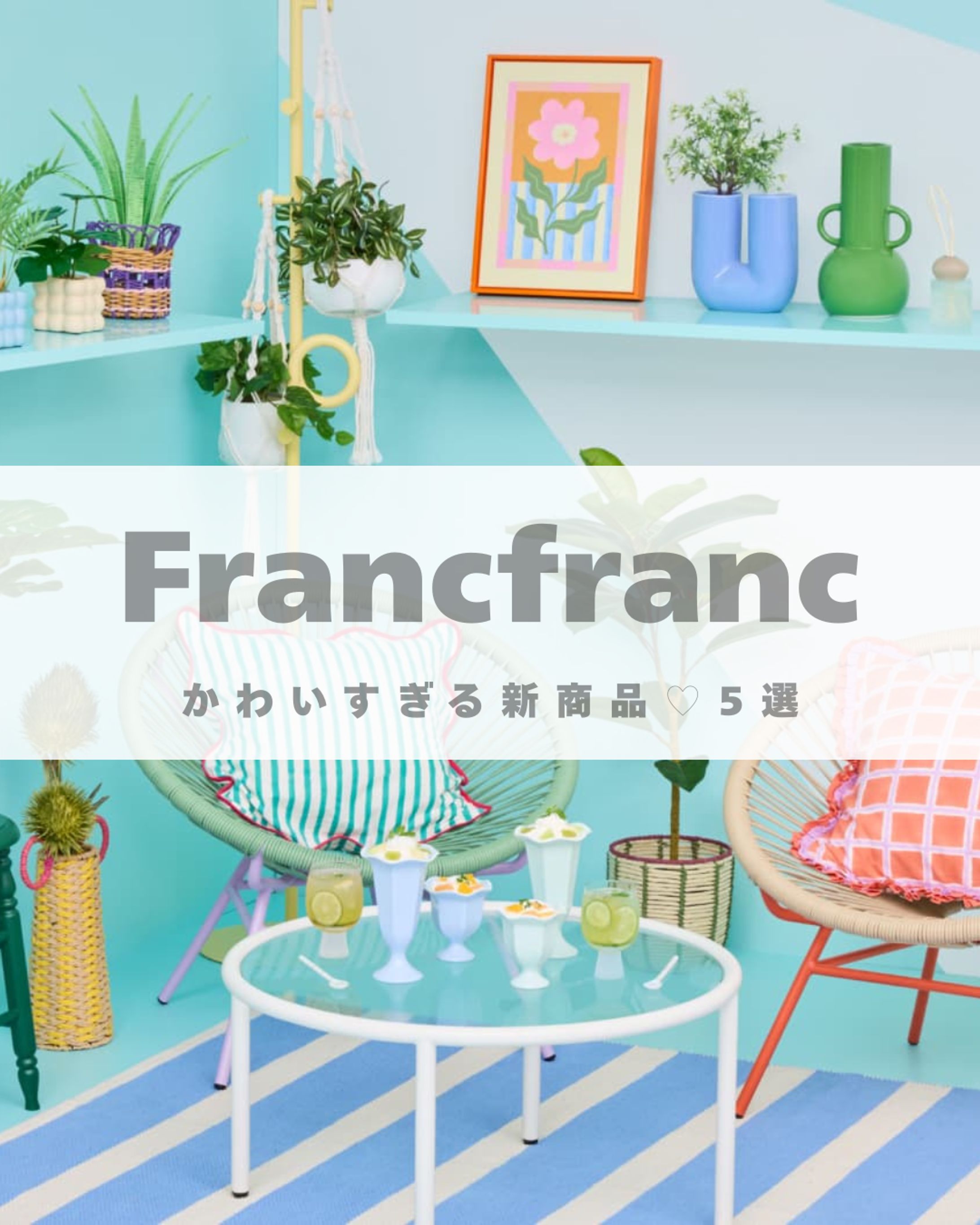 【フィード投稿】Francfranc新商品-1