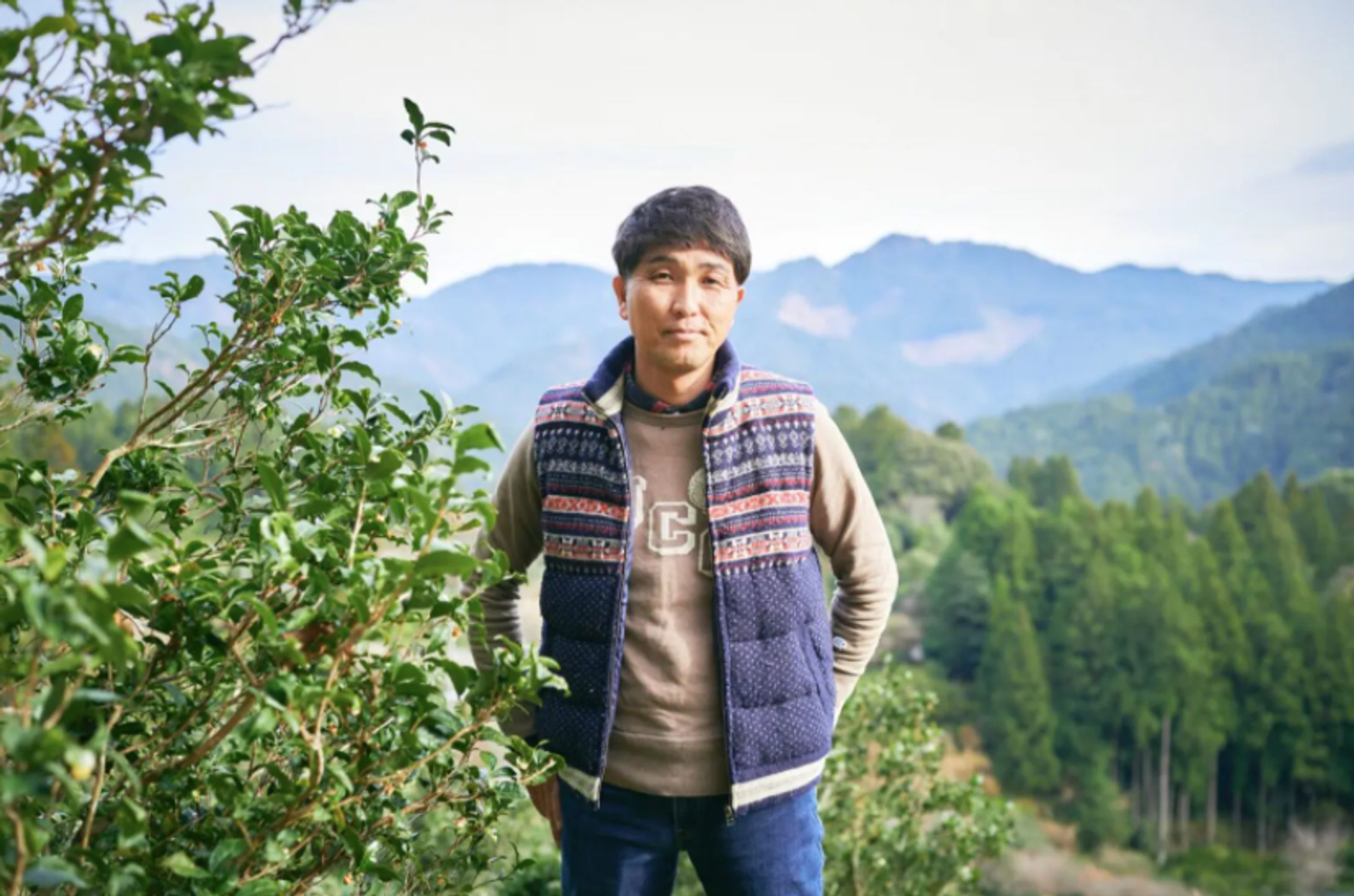 DIG THE TEA 英訳版 / The Secrets of Lacto-Fermented Tea, and How a Japanese Town Grabbed the World’s Attention￼-1