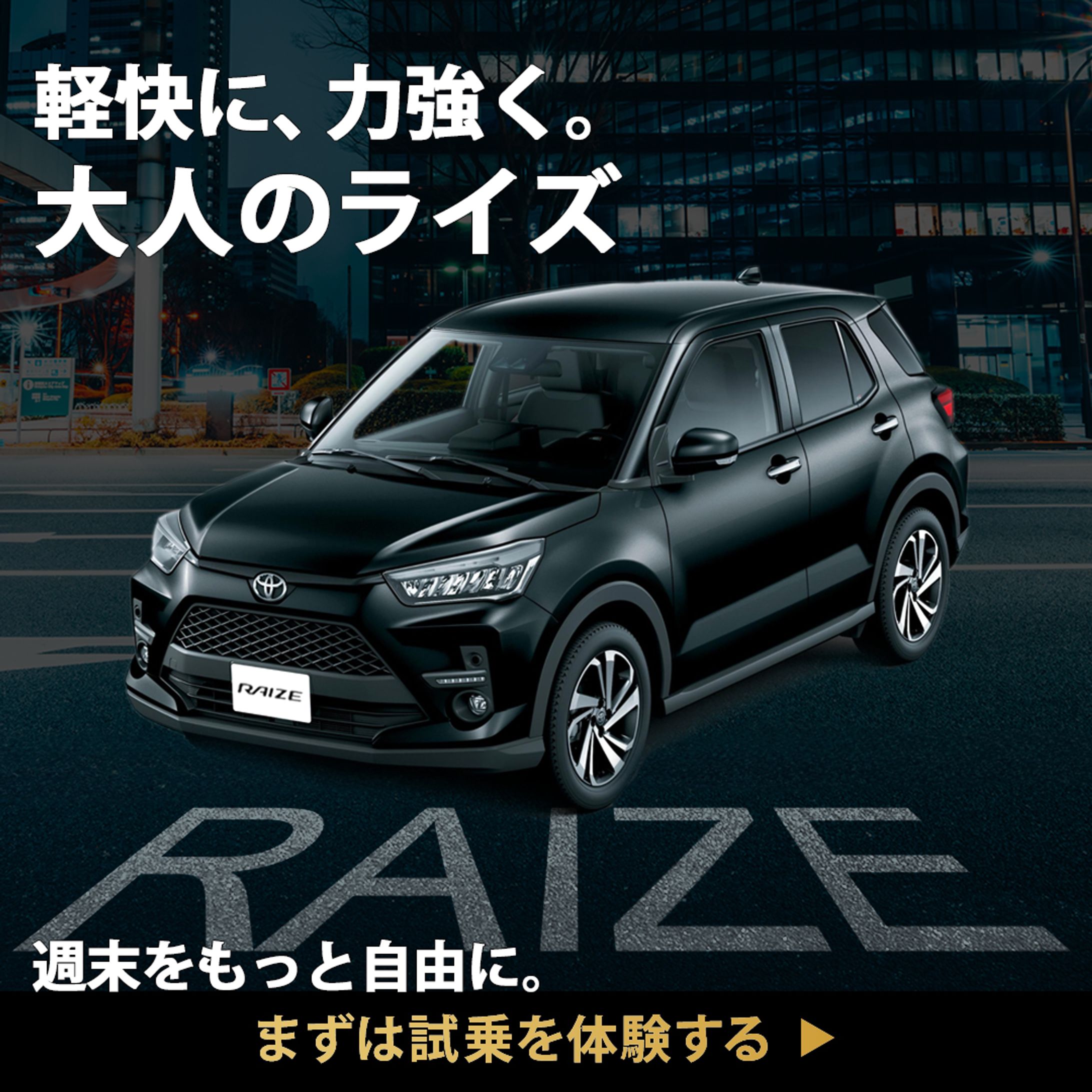 ライズの広告バナー-1