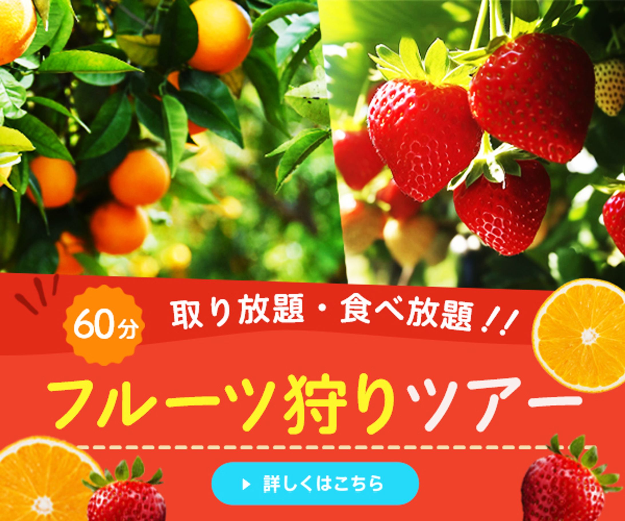バナー：フルーツ狩り-1
