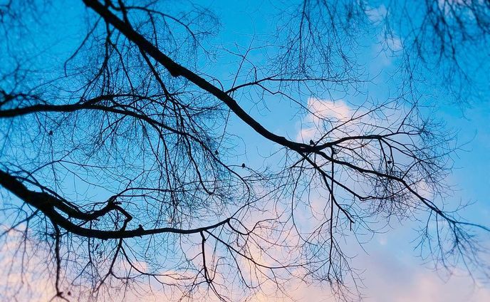 #phot #photooftheday #photography #sky#景色#空 あげ直し修学旅行小出し1