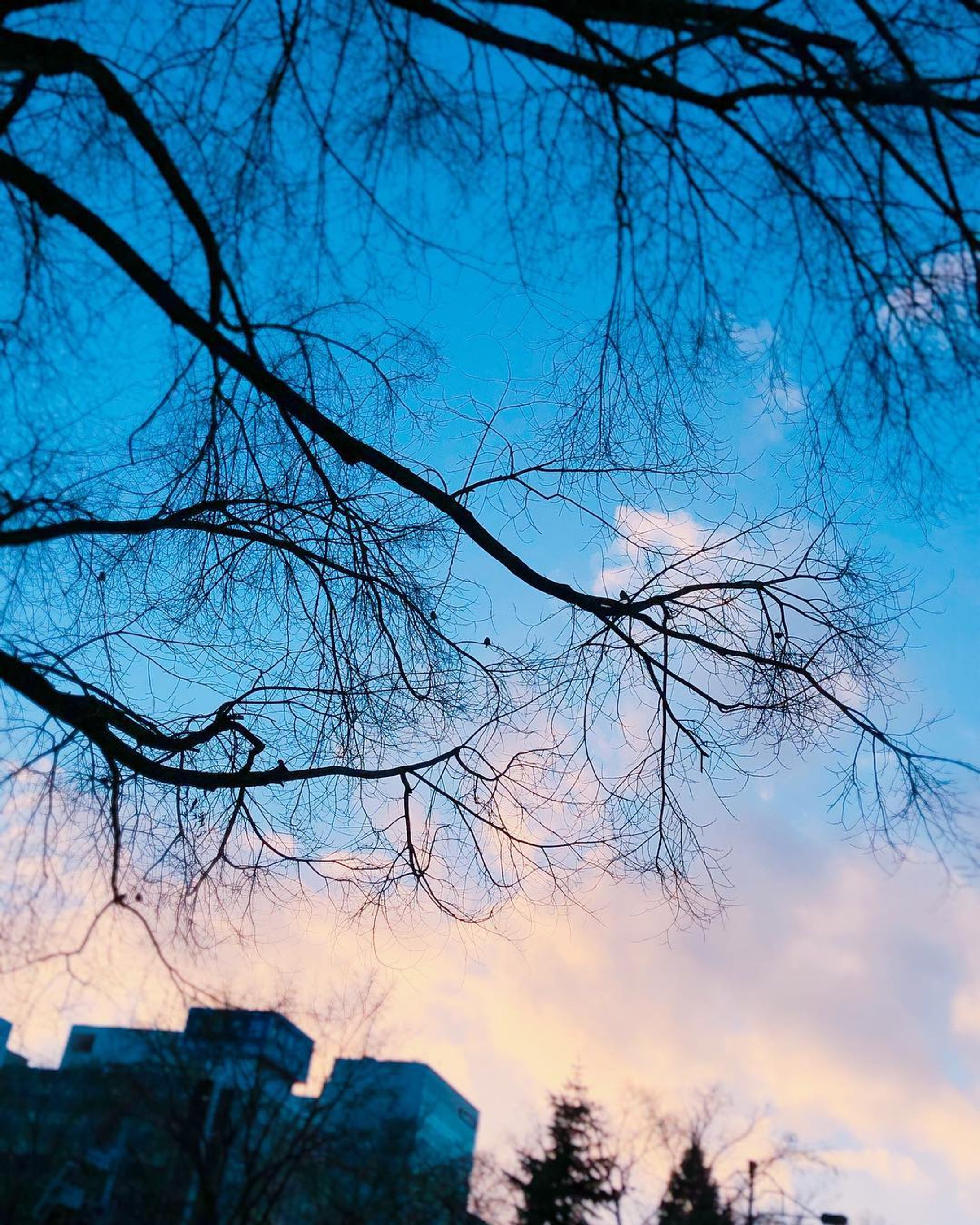 #phot #photooftheday #photography #sky#景色#空 あげ直し修学旅行小出し1-1