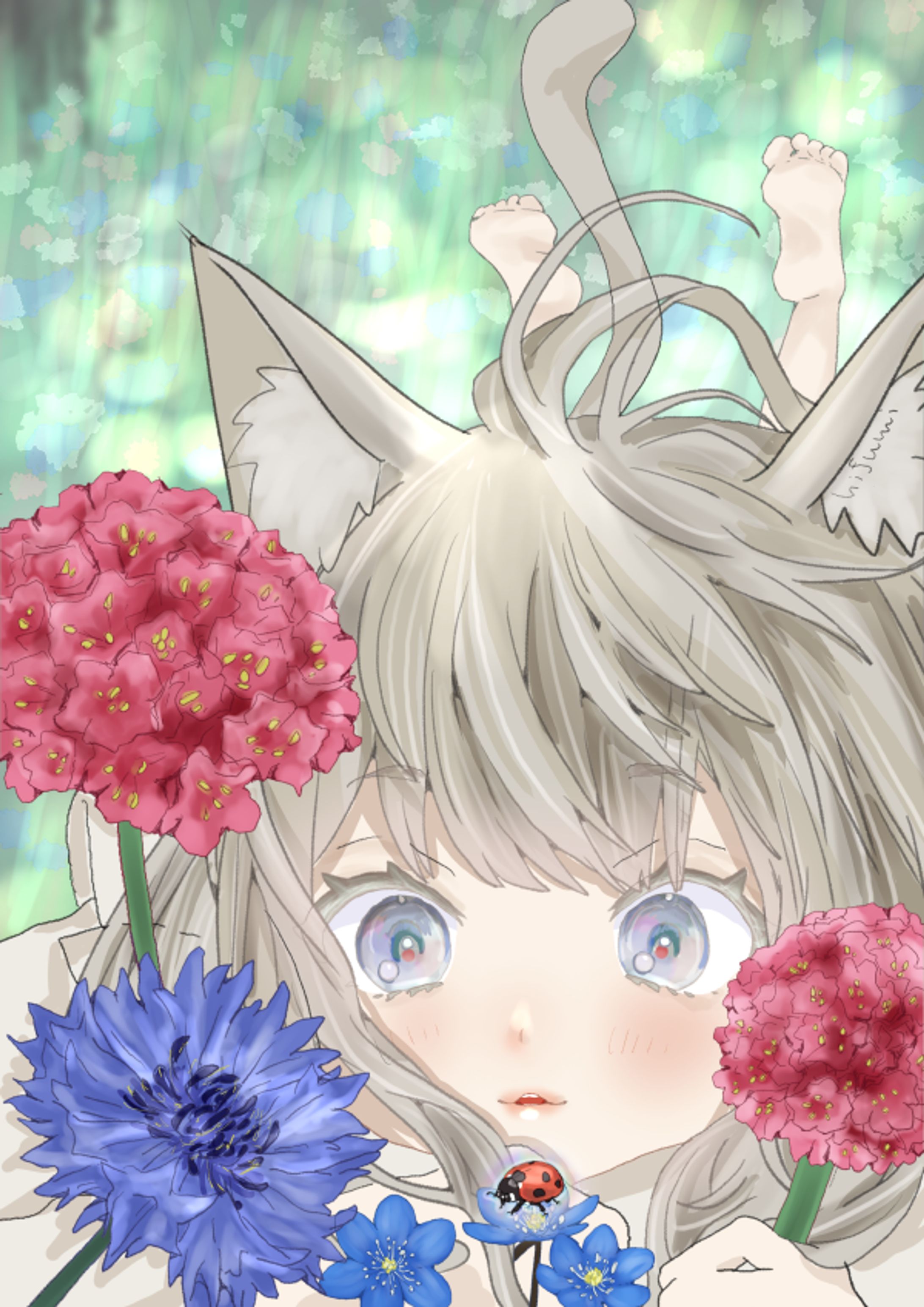 アルメリア　ミスミソウ　ヤグルマギク-1