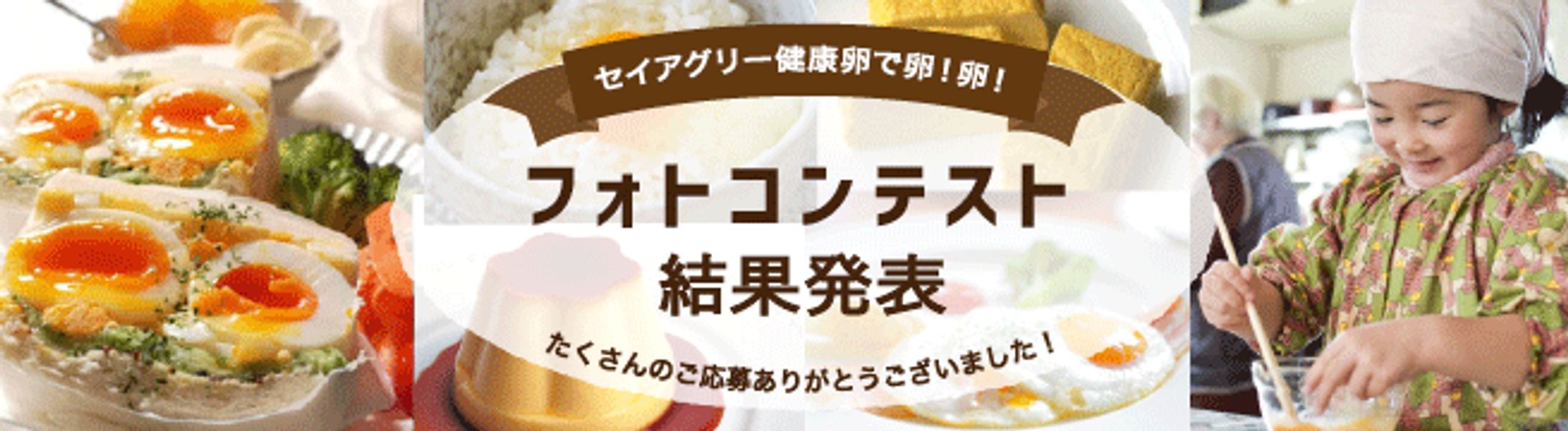 フォトコンテストの企画・ビジュアルデザイン-1