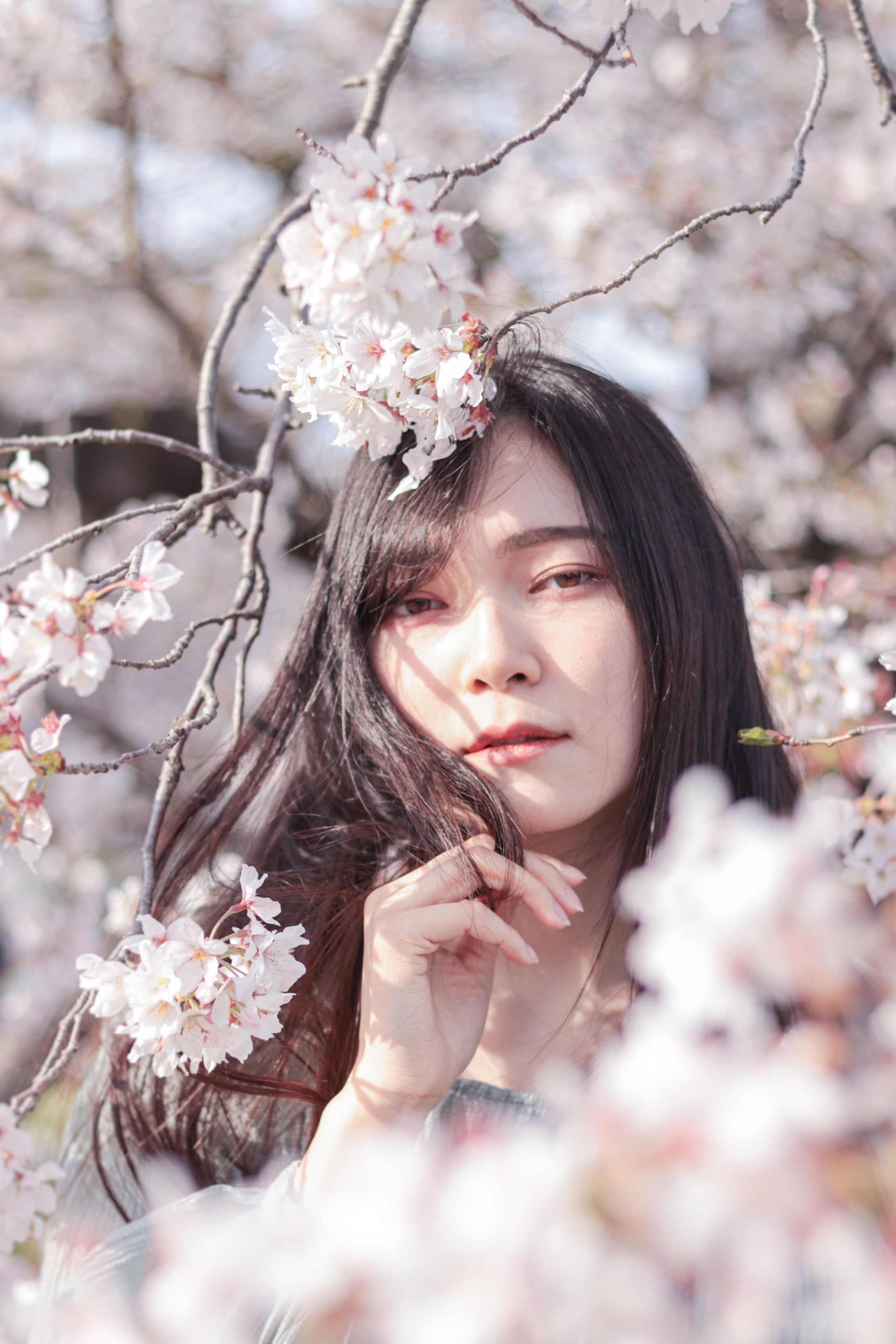 🌸-1