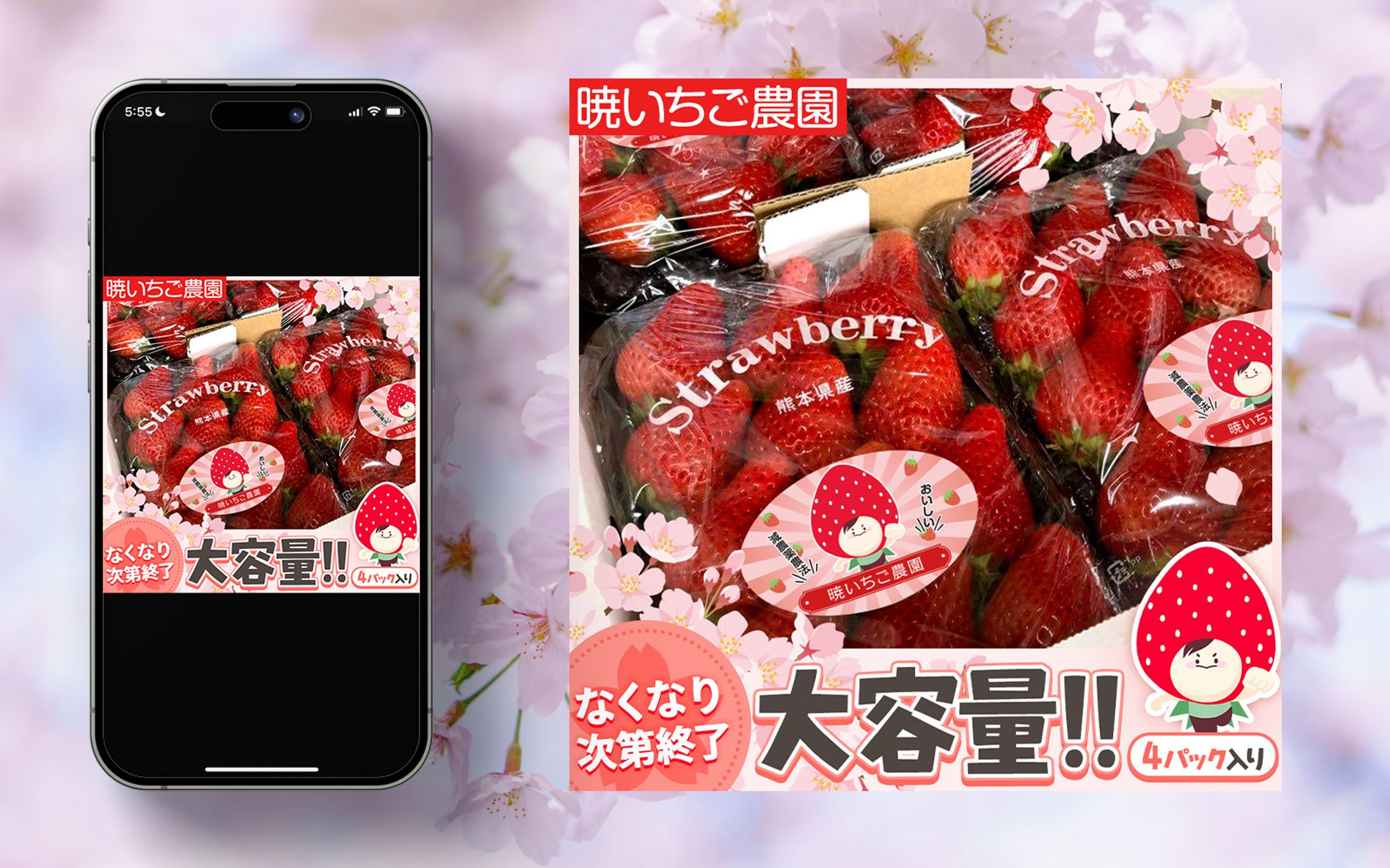 【広告バナー】食品業界🍓_季節訴求(再現)-1