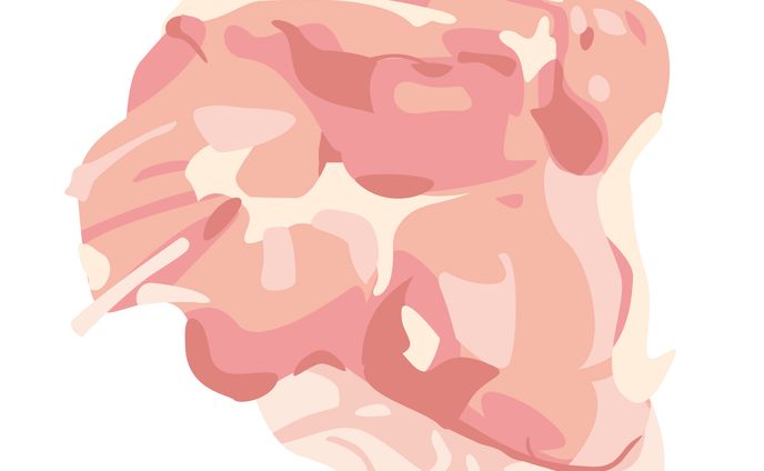 鶏もも肉_Illustrator素材