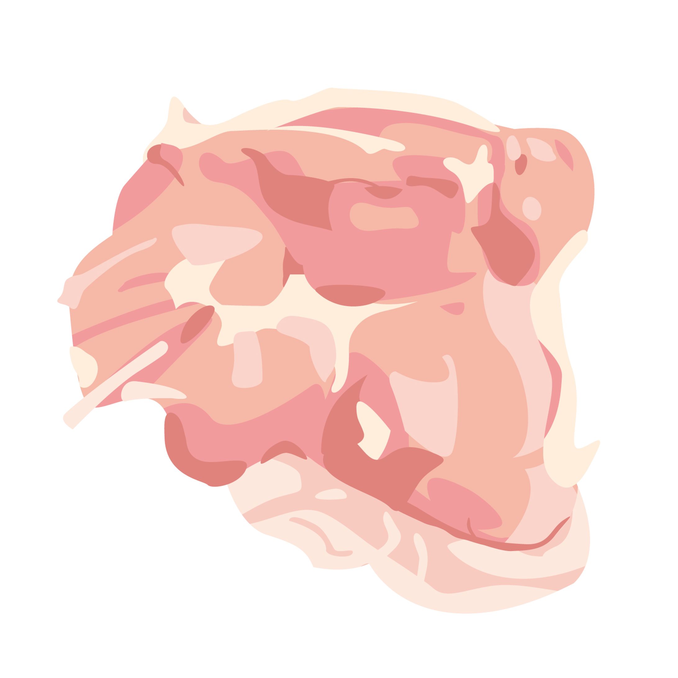 鶏もも肉_Illustrator素材-1