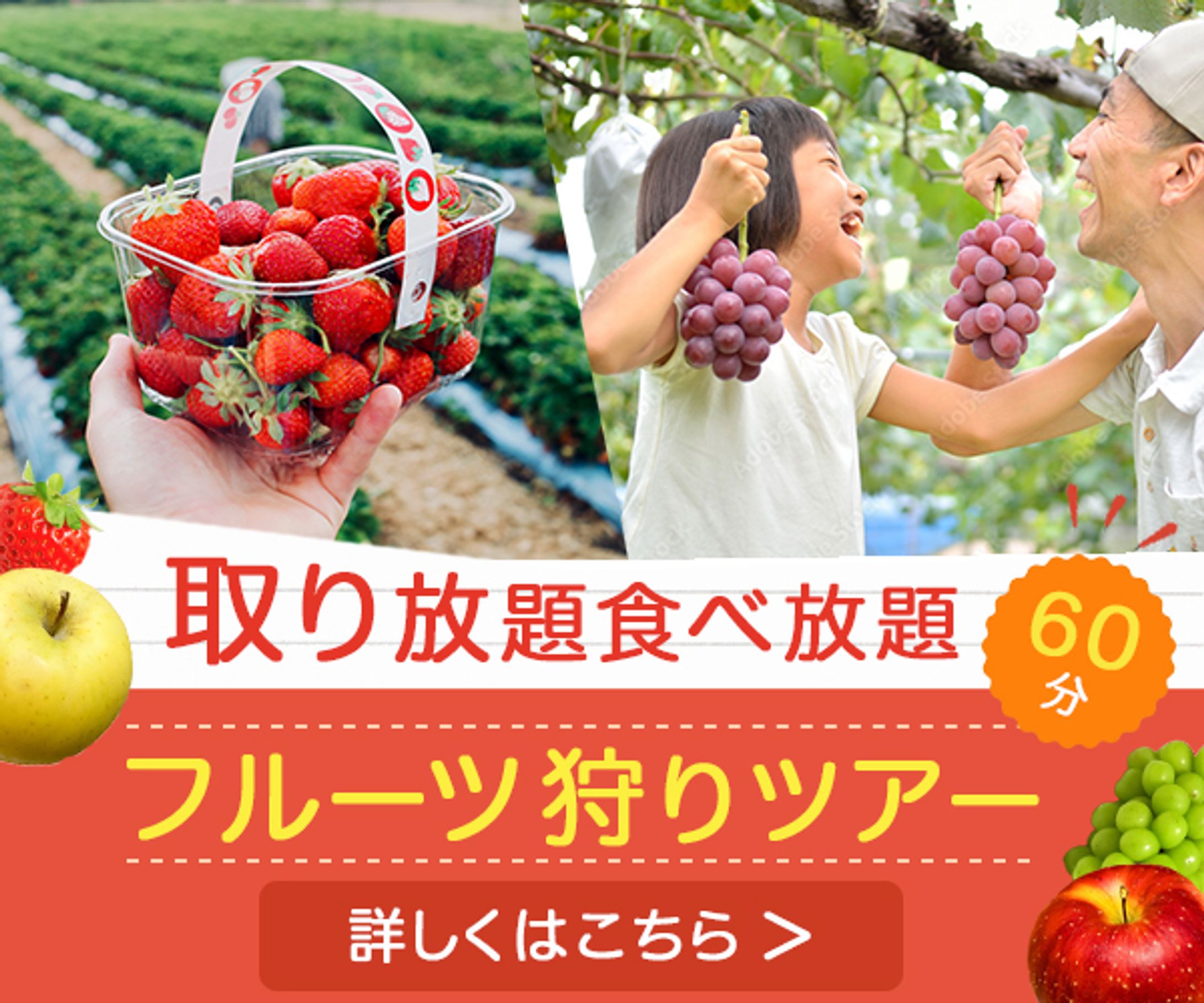 バナー：フルーツ狩り-1
