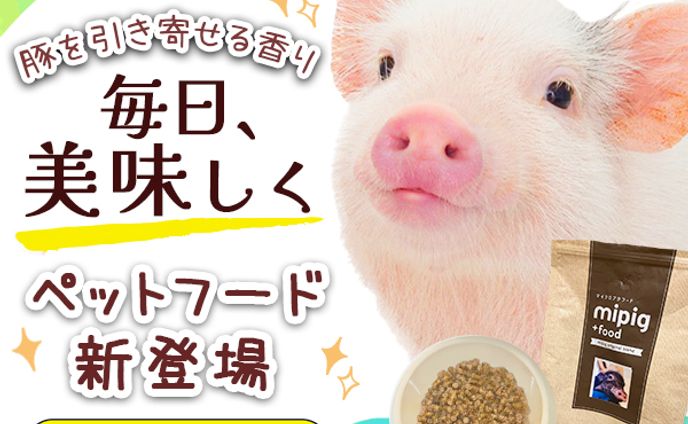 架空バナー　ブタさんフード新登場！