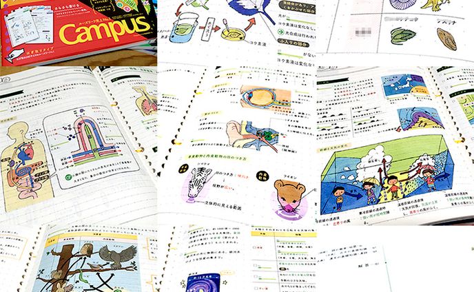 2017年2月：教材『ルーズリーフ参考書　中1～3　5教科・理科（生物・地学） 』（カットイラスト）（学研プラス）